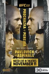 UFC 295: Procházka vs. Pereira Poster